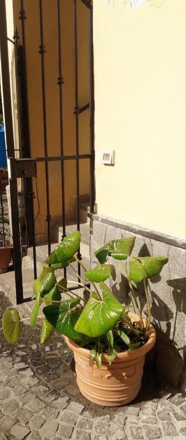 Pompei Vesevus Apartament Boscotrecase Kültér fotó