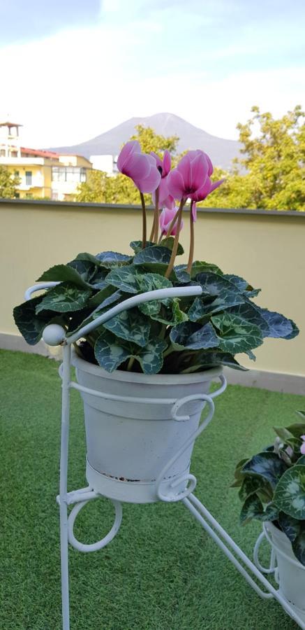 Pompei Vesevus Apartament Boscotrecase Kültér fotó